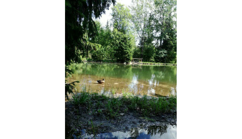 Hotel CROCUS **** Vysoké Tatry